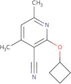 2-Cyclobutoxy-4,6-dimethylpyridine-3-carbonitrile