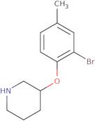 3-(2-Bromo-4-methylphenoxy)piperidine