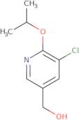 [5-Chloro-6-(propan-2-yloxy)pyridin-3-yl]methanol