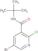 5-Bromo-N-tert-butyl-2-chloropyridine-3-carboxamide