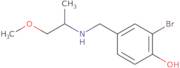 2-Bromo-4-[(1-methoxypropan-2-ylamino)methyl]phenol