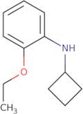 N-Cyclobutyl-2-ethoxyaniline