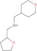 (Oxan-4-ylmethyl)(oxolan-2-ylmethyl)amine