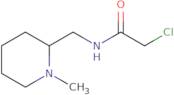 2-Chloro-N-(1-methyl-piperidin-2-ylmethyl)-acetamide