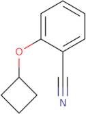 2-Cyclobutoxybenzonitrile