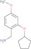 [2-(Cyclopentyloxy)-4-methoxyphenyl]methanamine