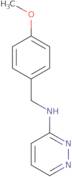 N-[(4-Methoxyphenyl)methyl]pyridazin-3-ae