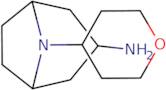 8-(Oxan-4-yl)-8-azabicyclo[3.2.1]octan-3-amine