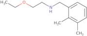 [(2,3-Dimethylphenyl)methyl](2-ethoxyethyl)amine