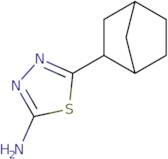 5-{Bicyclo[2.2.1]heptan-2-yl}-1,3,4-thiadiazol-2-amine