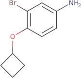 3-Bromo-4-cyclobutoxyaniline