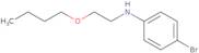 4-Bromo-N-(2-butoxyethyl)aniline