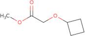 Methyl 2-cyclobutoxyacetate