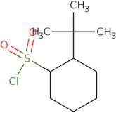 2-tert-Butylcyclohexane-1-sulfonyl chloride