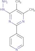 4-Hydrazinylidene-5,6-dimethyl-2-(pyridin-4-yl)-1,4-dihydropyrimidine