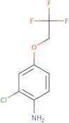 2-chloro-4-(2,2,2-trifluoroethoxy)aniline