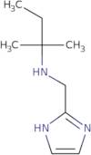 (1H-Imidazol-2-ylmethyl)(2-methylbutan-2-yl)amine