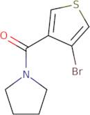 (4-Bromothiophen-3-yl)(pyrrolidin-1-yl)methanone