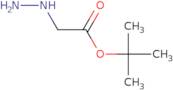 tert-Butyl 2-hydrazinylacetate