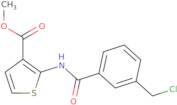 Methyl 2-([3-(chloromethyl)benzoyl]amino)thiophene-3-carboxylate