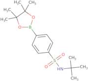 t-Butyl 4-boronobenzenesulfonamide pinacol ester