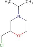 2-(Chloromethyl)-4-(propan-2-yl)morpholine