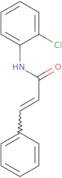 N-(2-Chlorophenyl)cinnamamide