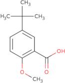 5-(tert-Butyl)-2-methoxybenzoic acid