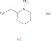 (1-Methyl-1,4,5,6-tetrahydropyrimidin-2-yl)methanamine dihydrochloride