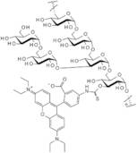 Rhodamine B isothiocyanate-dextran - Average MW 10,000