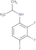 2,3,4-Trifluoro-N-(propan-2-yl)aniline