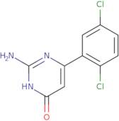 2-Amino-6-(2,5-dichlorophenyl)-3,4-dihydropyrimidin-4-one