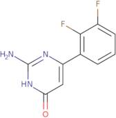 2-Amino-6-(2,3-difluorophenyl)-3,4-dihydropyrimidin-4-one