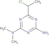 6-(1-Chloroethyl)-2-N,2-N-dimethyl-1,3,5-triazine-2,4-diamine
