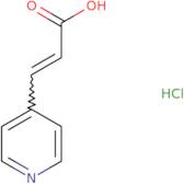 3-(Pyridin-4-yl)acrylic acid hydrochloride