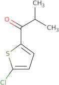 1-(5-Chlorothiophen-2-yl)-2-methylpropan-1-one