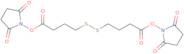 Bis(2,5-dioxopyrrolidin-1-yl) 4,4'-disulfanediyldibutanoate