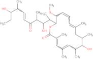 Oxohygrolidin