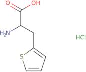 (S)-2-Amino-3-thiophen-2-yl-propionic acid, hydrochloride