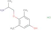 4-Hydroxy mexiletine hydrochloride