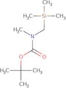 tert-Butyl N-methyl-N-[(trimethylsilyl)methyl]carbamate