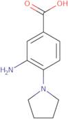 3-Amino-4-(pyrrolidin-1-yl)benzoic acid