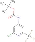 (2-chloro-6-trifluoromethyl-pyridin-4-yl)-carbamic acid tert-butyl ester