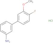 3-(4-Fluoro-3-methoxyphenyl)aniline HCl