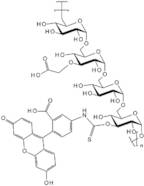 Fluorescein isothiocyanate-carboxymethyl-dextran - Average MW 150,000