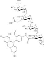 Fluorescein isothiocyanate-carboxymethyl-dextran - Average MW 20,000