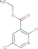 Ethyl 2,5-dichloronicotinate