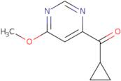 Ethyl 6-chloro-6-heptenoate