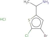 1-(4-Bromo-5-chlorothiophen-2-yl)ethan-1-amine hydrochloride