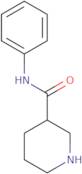 N-Phenyl-3-piperidinecarboxamide hydrochloride